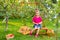 Portrait of children in apple orchard. Little girl in pink Tshirt and denim skirt, sits on stool next to basket with harvest, agai