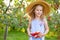 Portrait of children in apple orchard. Little girl in straw hat and blue striped dress, holding apples in hem of dress