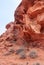 Portrait of chiseled flank of red rock, Valley of Fire, Nevada, USA