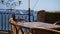 Portrait of city pigeon flying off from table in street cafe on Amalfi coast on background of boat and yachts sailing in
