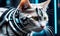 portrait close up of cyber cat