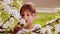 Portrait close-up, white-skinned boy in the spring garden. Caucasian boy in a lush garden in the spring.