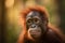 Portrait closeup of a beautiful baby, juvenile Orangutan ape. - Generative AI art