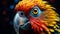 Portrait of a colorful macaw parrot on a dark background.