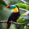 A portrait of a colorful toucan resting on a tree branch in a rainforest2