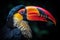 Portrait of a Colorful tucan on a black background. Close-up.