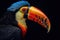 Portrait of a Colorful tucan on a black background. Close-up.