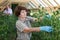 Portrait of confident farmers engaged in cultivation of organic tomato in greenhouse