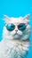 Portrait cool cat concept design, white cat wearing eyes glasses isolated on background, blue texture on background