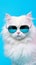 Portrait cool cat concept design, white cat wearing eyes glasses isolated on background, blue texture on background