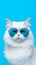 Portrait cool cat concept design, white cat wearing eyes glasses isolated on background, blue texture on background