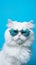 Portrait cool cat concept design, white cat wearing eyes glasses isolated on background, blue texture on background