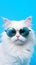 Portrait cool cat concept design, white cat wearing eyes glasses isolated on background, blue texture on background