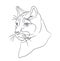 Portrait of a cougar drawing lines, vector