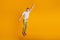 Portrait of crazy superhero guy jump raise fist fly on yellow background