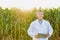 Portrait of crop scientist standing while holding digital tablet against corn plants growing in field with yellow lens flare in ba