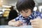 Portrait of curious kid boy looking at lady bug crawling in bug box, Summer outdoors time for Childhood with family, Children adve