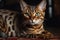 Portrait of a Curious Purebred Bengal Cat, Generative AI