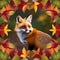 A portrait of a curious red fox peering out from behind a vibrant cluster of autumn leaves2