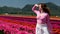 Portrait of a curious young girl woman in a field of tulips holding her hand over her eyes and peering into the distance