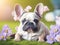 portrait cute baby french bulldog with flowers. ai generative