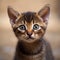 Portrait of a cute black Chausie kitten looking at the camera. Closeup face of an adorable Chausie kitty at home. Portrait of a