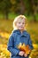 Portrait of a cute blond little boy with maple leaves in autumn park