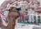 Portrait of cute camel