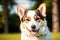 Portrait of a cute Cardigan Welsh Corgi dog standing in the park. Generative AI