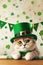 Portrait cute cat wearing green St. Patrick's day top hat and bow tie