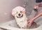 Portrait of a cute Corgi dog in a rubber cap in the bathroom with foam and soap bubbles smiling pretty standing under the shower