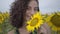Portrait of cute curly girl jokingly biting big sunflower in the sunflower field. Connection with nature. Rural life