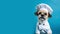 Portrait of a cute dog in a chef's costume on a blue background with space for advertising.