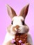 Portrait of a cute Easter bunny eating chocolate