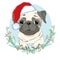 Portrait of cute french bulldog in red christmas hat on blue background. Vector illustration. Santa Claus. New Year`s