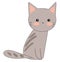 Portrait of a cute grey cat sitting against white background viewed from the side vector or color illustration