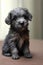 Portrait of cute grey puppy with dark eyes lying on sitting, created using generative ai technology