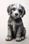 Portrait of cute grey puppy with on white background, created using generative ai technology
