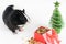 Portrait of cute guinea pig on a Christmas background. Guinea Pig with christmas hat on it. Funny New Year background