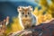 Portrait of Cute Ili pika in their habitat Generative AI