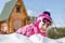 Portrait of cute ittle caucasian girl in sport winter jacket and ski goggles having fun playing outdoors with snow. Winter