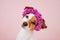 Portrait of cute jack russell dog wearing a crown of flowers over pink background. Spring or summer concept