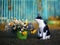 Portrait of a cute kitty sitting in the warm summer garden next to the bouquet of wild flowers in a bucket on the background of