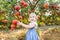 Portrait of cute little blondy baby girl looking at camera and picking ripe pomegrate fruits in the garden. Harvest and family tim