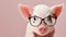 Portrait of a cute piglet in glasses on pink background