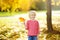 Portrait of cute preschooler boy on sunny autumn day. Child holding red yellow fallen maple leaf in park. Golden autumn