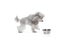 Portrait of cute purebred poodle posing, stepping to food bowl isolated over white studio background. Concept of