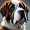 Portrait of a cute Saint Bernard dog.