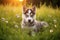 Portrait of cute siberian husky puppy in meadow, created using generative ai technology