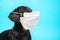 Portrait of a cute sick Dachshund dog, black and tan, wearing white medical mask on a muzzle on a blue background. concept of pet